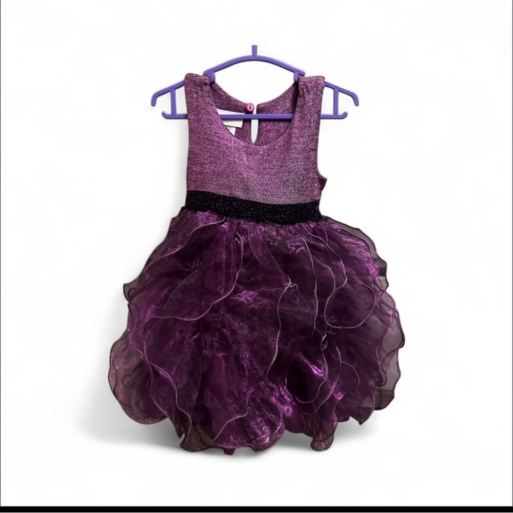 Bonnie Baby Sparkling Purple Ruffle‎ Dress